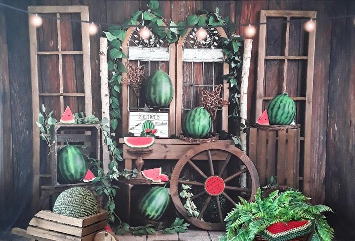 Watermelon Stand backdrop