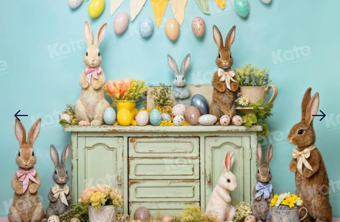 Bunny Cabinet Blue backdrop